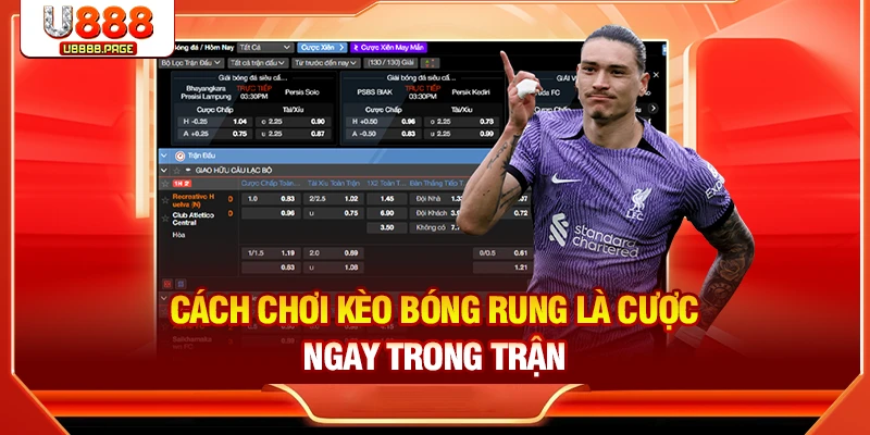 Cách chơi kèo bóng rung là cược ngay trong trận
