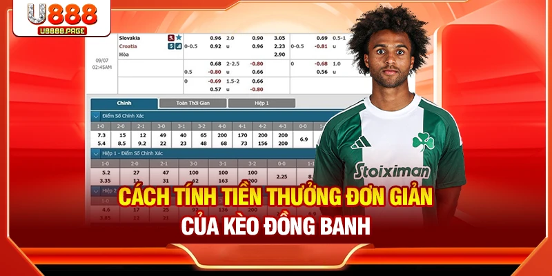 Quy tắc tính tiền thưởng do U888 áp dụng cho kèo hoà