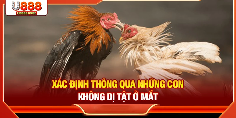 Xác định thông qua những con không dị tật ở mắt